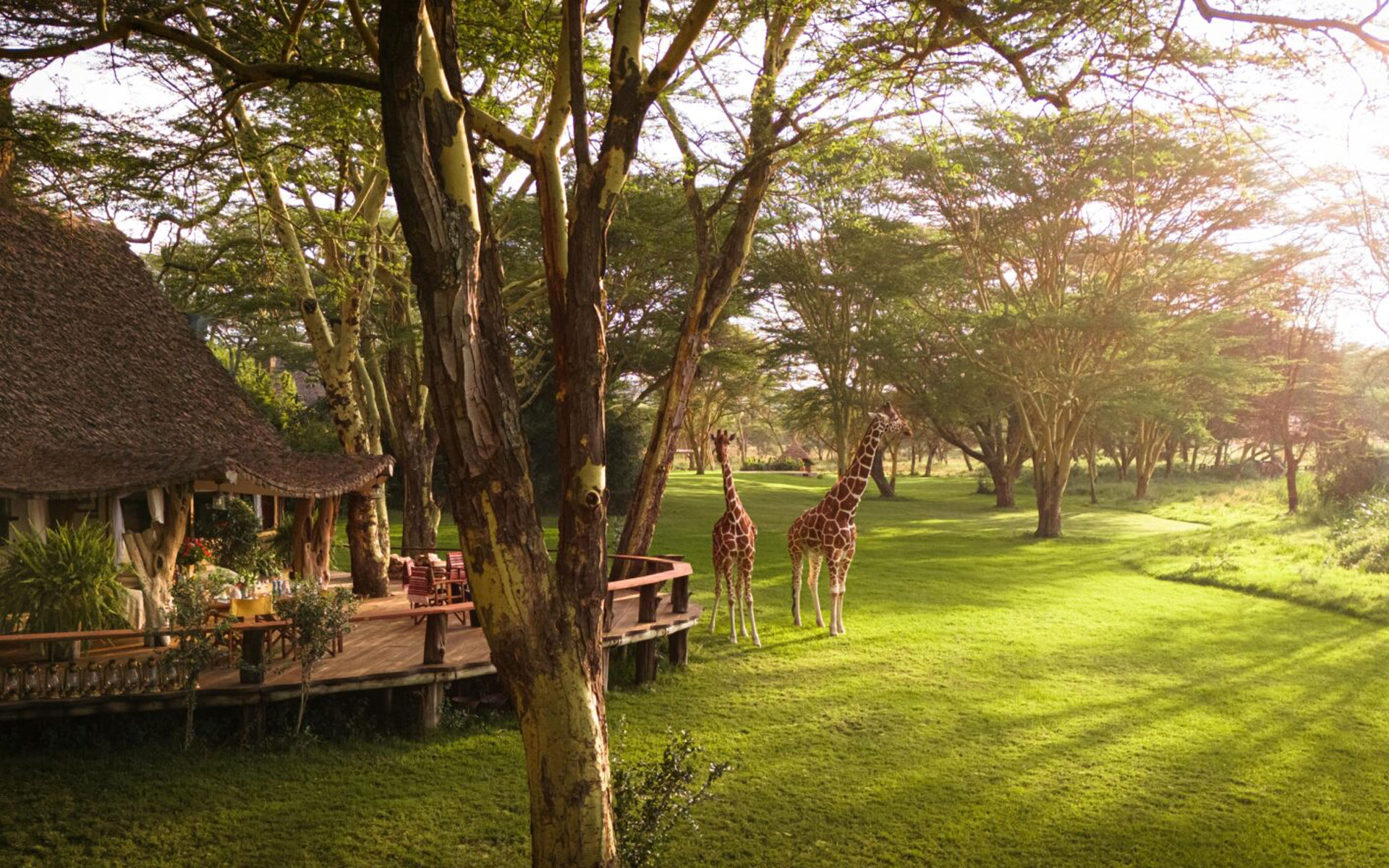 media.topic.imagealternatetextformat