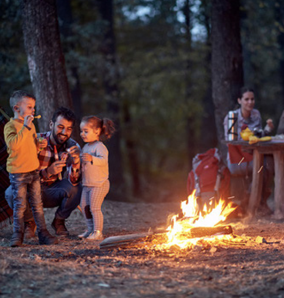 media.category.imagealternatetextformat